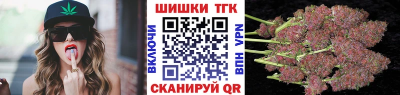 A-PVP Выборг