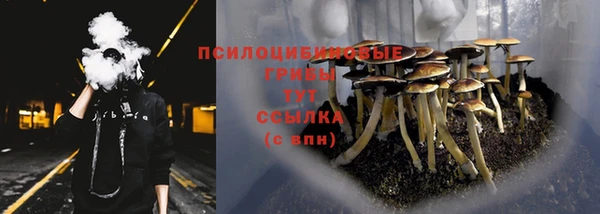 амф Переславль-Залесский