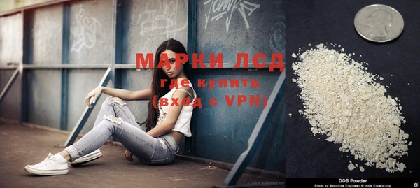 спиды Пестово