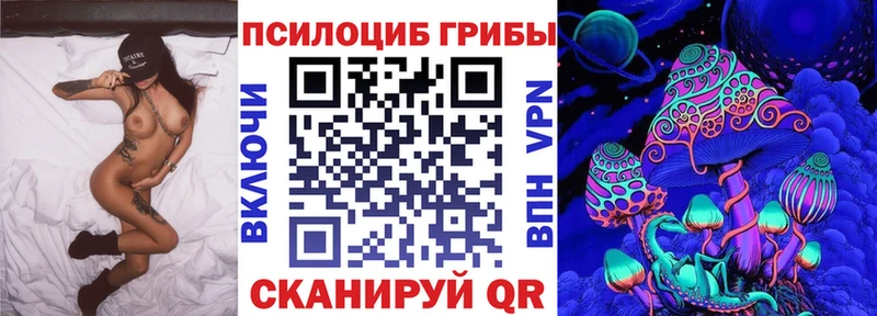 где продают наркотики  Выборг  Галлюциногенные грибы прущие грибы 
