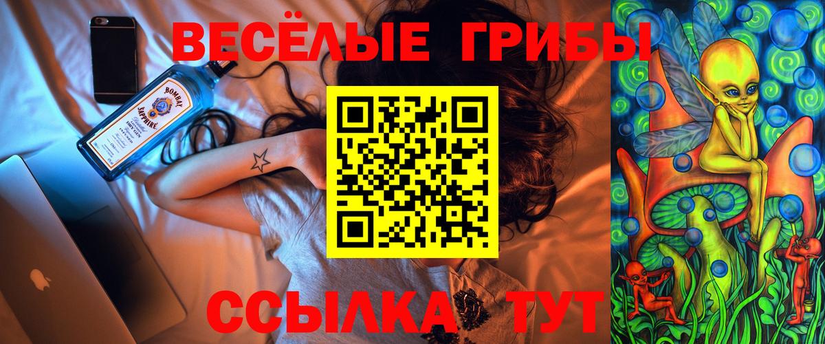 Галлюциногенные грибы Magic Shrooms Выборг