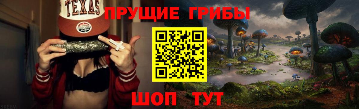 Выборг  Галлюциногенные грибы Magic Shrooms  Вход с VPN 