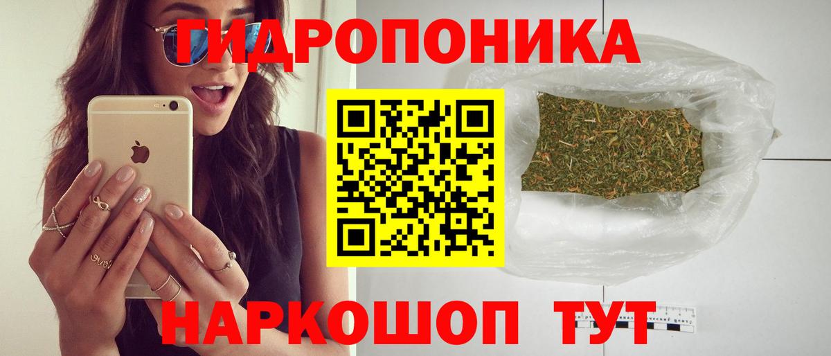 Каннабис планчик Выборг